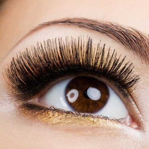 eyelash.jpg eyelash.jpg